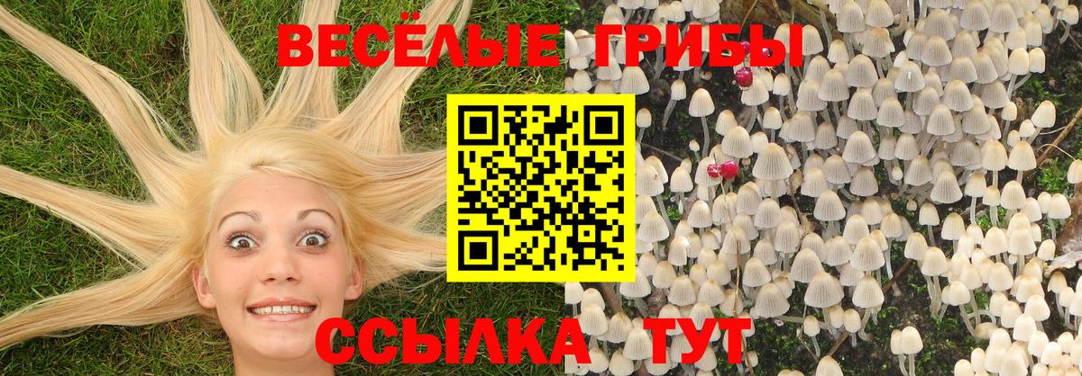 Галлюциногенные грибы мухоморы  Богданович 