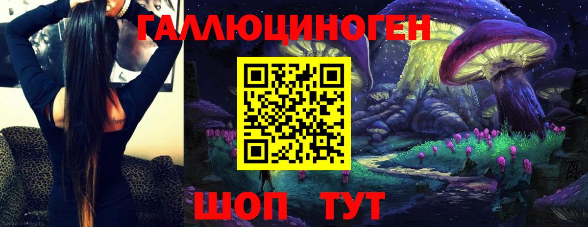 Богданович  Галлюциногенные грибы Psilocybine cubensis  Вход с VPN  Галлюциногенные грибы ЛСД 