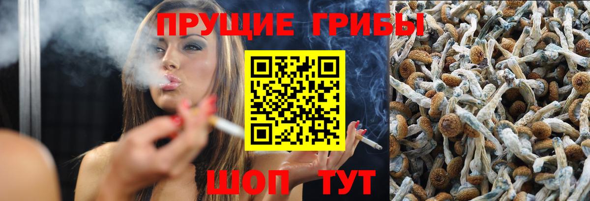 APVP Богданович