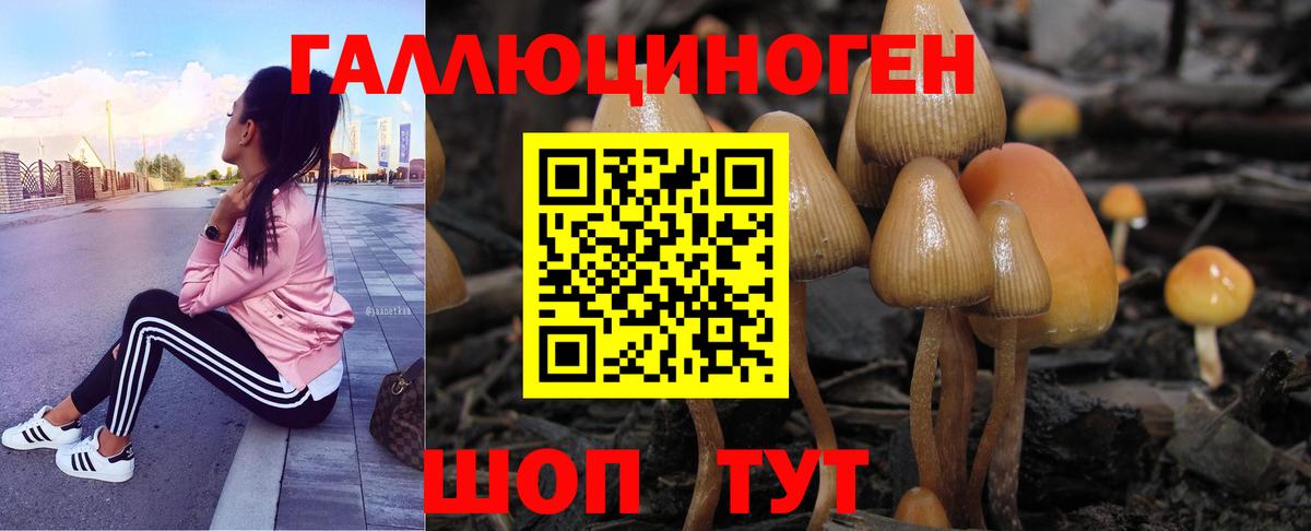 Галлюциногенные грибы GOLDEN TEACHER Богданович