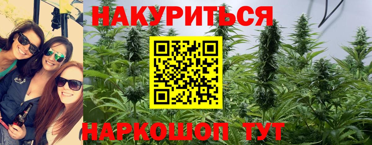 Бошки Шишки OG Kush  Бошки Шишки конопля  Марихуана конопля  Богданович  Шишки марихуана индика 